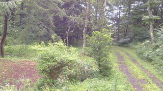 長野県菅平高原 ゆたか山荘 坂上 2026/08/12 06:00