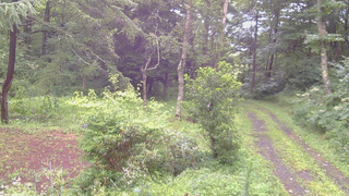 長野県菅平高原 ゆたか山荘 坂上 2026/08/12 06:15