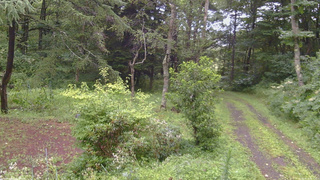 長野県菅平高原 ゆたか山荘 坂上 2026/08/12 06:30