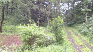 長野県菅平高原 ゆたか山荘 坂上 2026/08/12 06:45