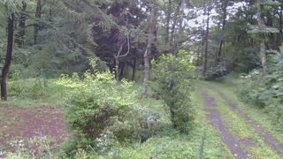 長野県菅平高原 ゆたか山荘 坂上 2026/08/12 07:00