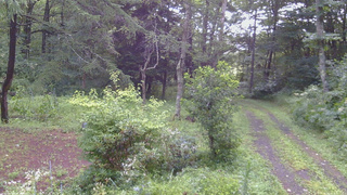 長野県菅平高原 ゆたか山荘 坂上 2026/08/12 07:15