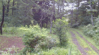 長野県菅平高原 ゆたか山荘 坂上 2026/08/12 07:30