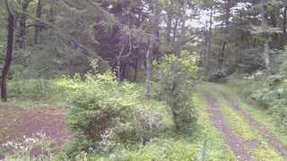 長野県菅平高原 ゆたか山荘 坂上 2026/08/12 07:45