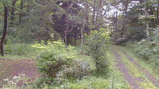 長野県菅平高原 ゆたか山荘 坂上 2026/08/12 08:00
