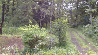 長野県菅平高原 ゆたか山荘 坂上 2026/08/12 08:15