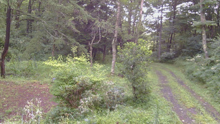 長野県菅平高原 ゆたか山荘 坂上 2026/08/12 08:30