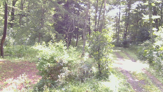 長野県菅平高原 ゆたか山荘 坂上 2026/08/12 08:45