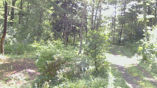長野県菅平高原 ゆたか山荘 坂上 2026/08/12 09:00