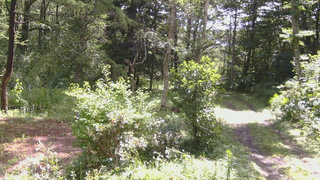 長野県菅平高原 ゆたか山荘 坂上 2026/08/12 09:30
