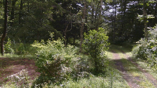 長野県菅平高原 ゆたか山荘 坂上 2026/08/12 09:45