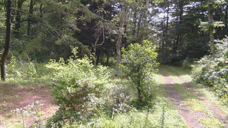 長野県菅平高原 ゆたか山荘 坂上 2026/08/12 10:00