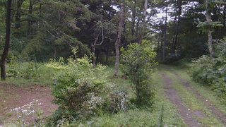 長野県菅平高原 ゆたか山荘 坂上 2026/08/12 10:15