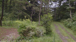 長野県菅平高原 ゆたか山荘 坂上 2026/08/12 10:30