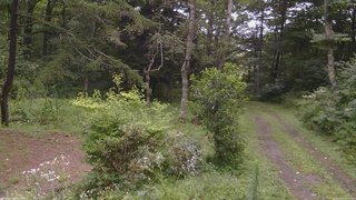 長野県菅平高原 ゆたか山荘 坂上 2026/08/12 10:45