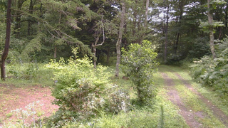長野県菅平高原 ゆたか山荘 坂上 2026/08/12 11:00