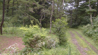 長野県菅平高原 ゆたか山荘 坂上 2026/08/12 11:15