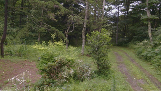長野県菅平高原 ゆたか山荘 坂上 2026/08/12 11:30