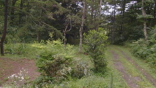 長野県菅平高原 ゆたか山荘 坂上 2026/08/12 11:45
