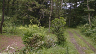 長野県菅平高原 ゆたか山荘 坂上 2026/08/12 12:00