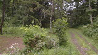長野県菅平高原 ゆたか山荘 坂上 2026/08/12 12:15