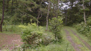 長野県菅平高原 ゆたか山荘 坂上 2026/08/12 12:30