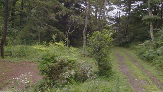 長野県菅平高原 ゆたか山荘 坂上 2026/08/12 12:45