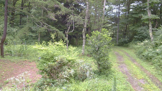 長野県菅平高原 ゆたか山荘 坂上 2026/08/12 13:00