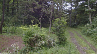 長野県菅平高原 ゆたか山荘 坂上 2026/08/12 13:15
