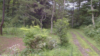 長野県菅平高原 ゆたか山荘 坂上 2026/08/12 13:30