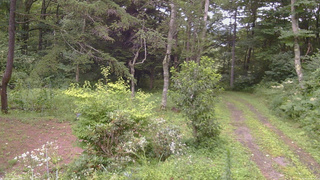 長野県菅平高原 ゆたか山荘 坂上 2026/08/12 13:45