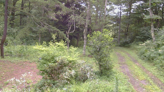 長野県菅平高原 ゆたか山荘 坂上 2026/08/12 14:00