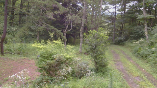 長野県菅平高原 ゆたか山荘 坂上 2026/08/12 14:15