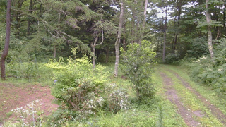 長野県菅平高原 ゆたか山荘 坂上 2026/08/12 14:30