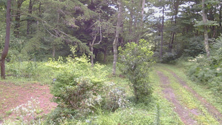長野県菅平高原 ゆたか山荘 坂上 2026/08/12 14:45