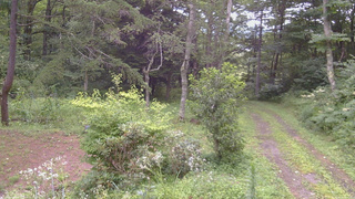 長野県菅平高原 ゆたか山荘 坂上 2026/08/12 15:00