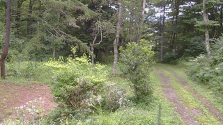 長野県菅平高原 ゆたか山荘 坂上 2026/08/12 15:15