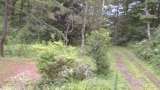 長野県菅平高原 ゆたか山荘 坂上 2026/08/12 15:30