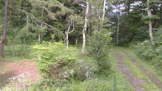 長野県菅平高原 ゆたか山荘 坂上 2026/08/12 15:45