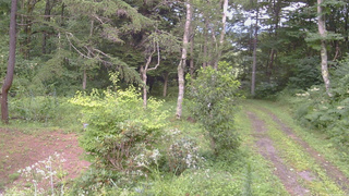 長野県菅平高原 ゆたか山荘 坂上 2026/08/12 16:00