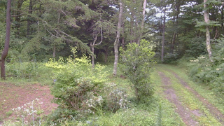 長野県菅平高原 ゆたか山荘 坂上 2026/08/12 16:15