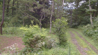 長野県菅平高原 ゆたか山荘 坂上 2026/08/12 16:30