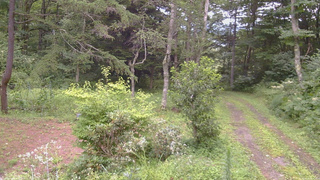 長野県菅平高原 ゆたか山荘 坂上 2026/08/12 16:45