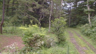 長野県菅平高原 ゆたか山荘 坂上 2026/08/12 17:00