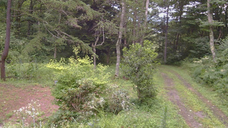 長野県菅平高原 ゆたか山荘 坂上 2026/08/12 17:15