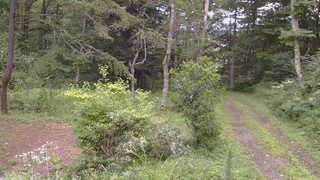 長野県菅平高原 ゆたか山荘 坂上 2026/08/12 17:30