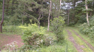 長野県菅平高原 ゆたか山荘 坂上 2026/08/12 17:45