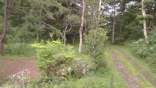 長野県菅平高原 ゆたか山荘 坂上 2026/08/12 18:00