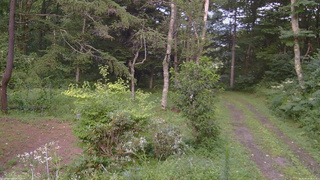 長野県菅平高原 ゆたか山荘 坂上 2026/08/12 18:15