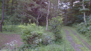 長野県菅平高原 ゆたか山荘 坂上 2026/08/12 18:30